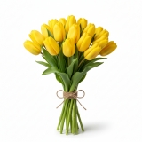 kytica 14 tulipánov