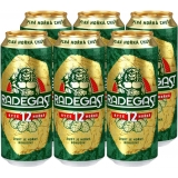 Radegast 12° 6x0,5l plech