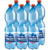 Saguaro 6x1,5l