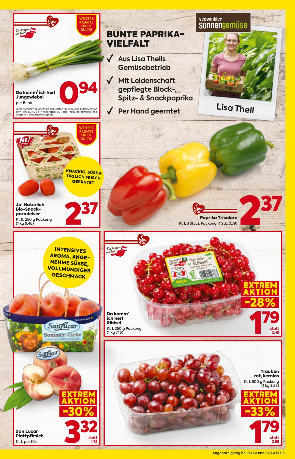 BILLA (AT) leaflet 005