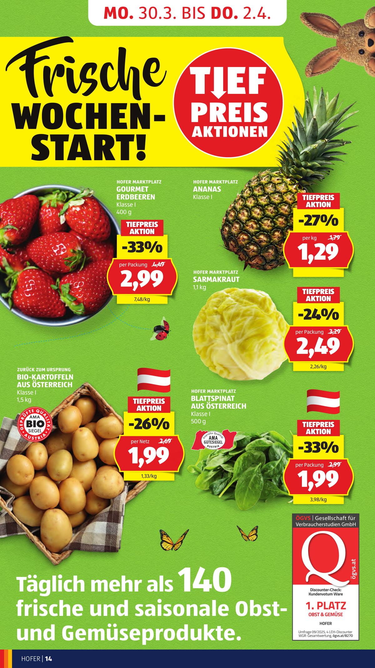 Hofer (AT) leaflet 018