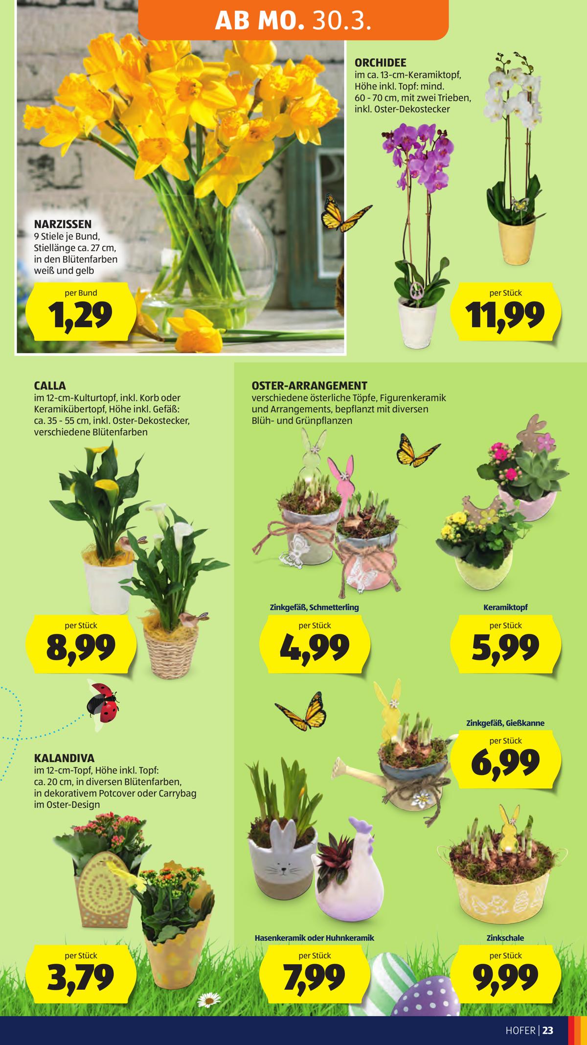 Hofer (AT) leaflet 029