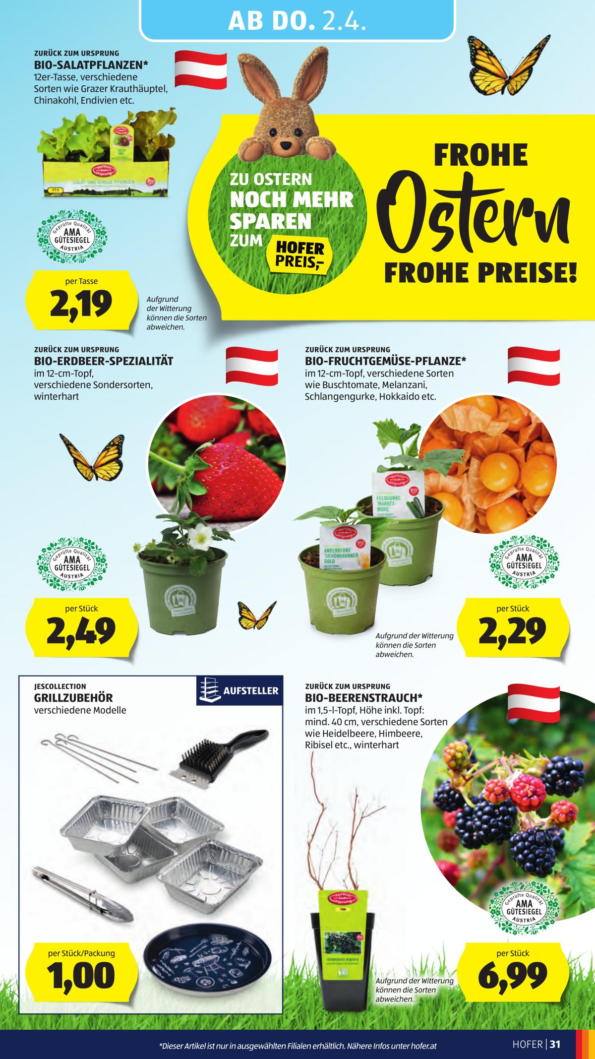 Hofer (AT) leaflet 037