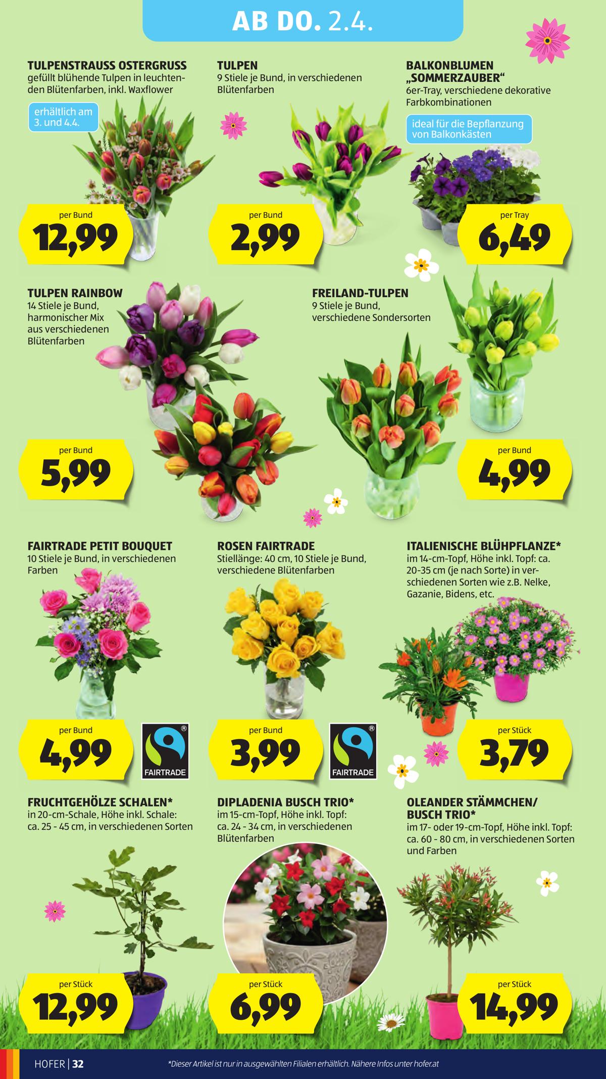 Hofer (AT) leaflet 038