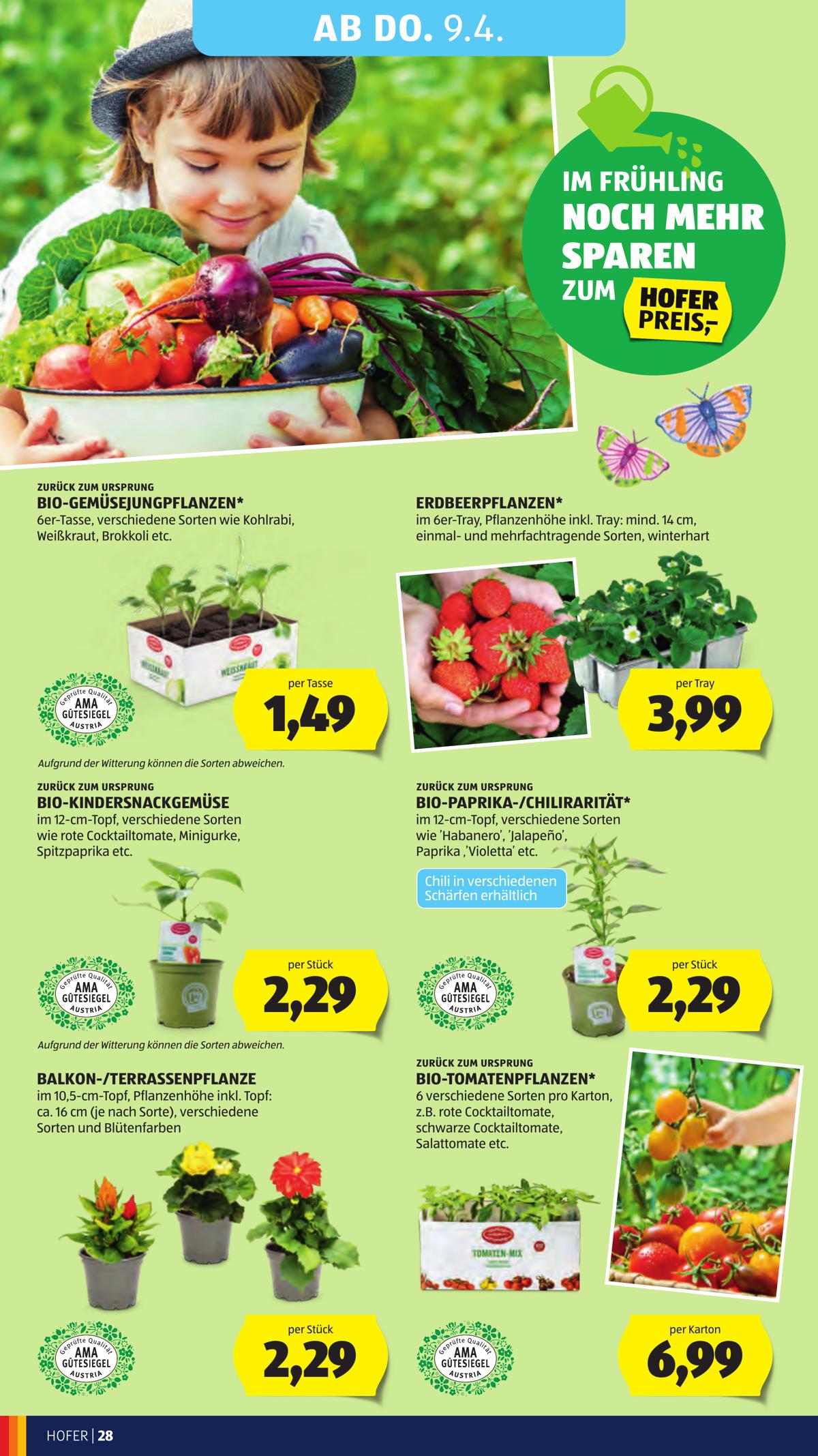 Hofer (AT) leaflet 032