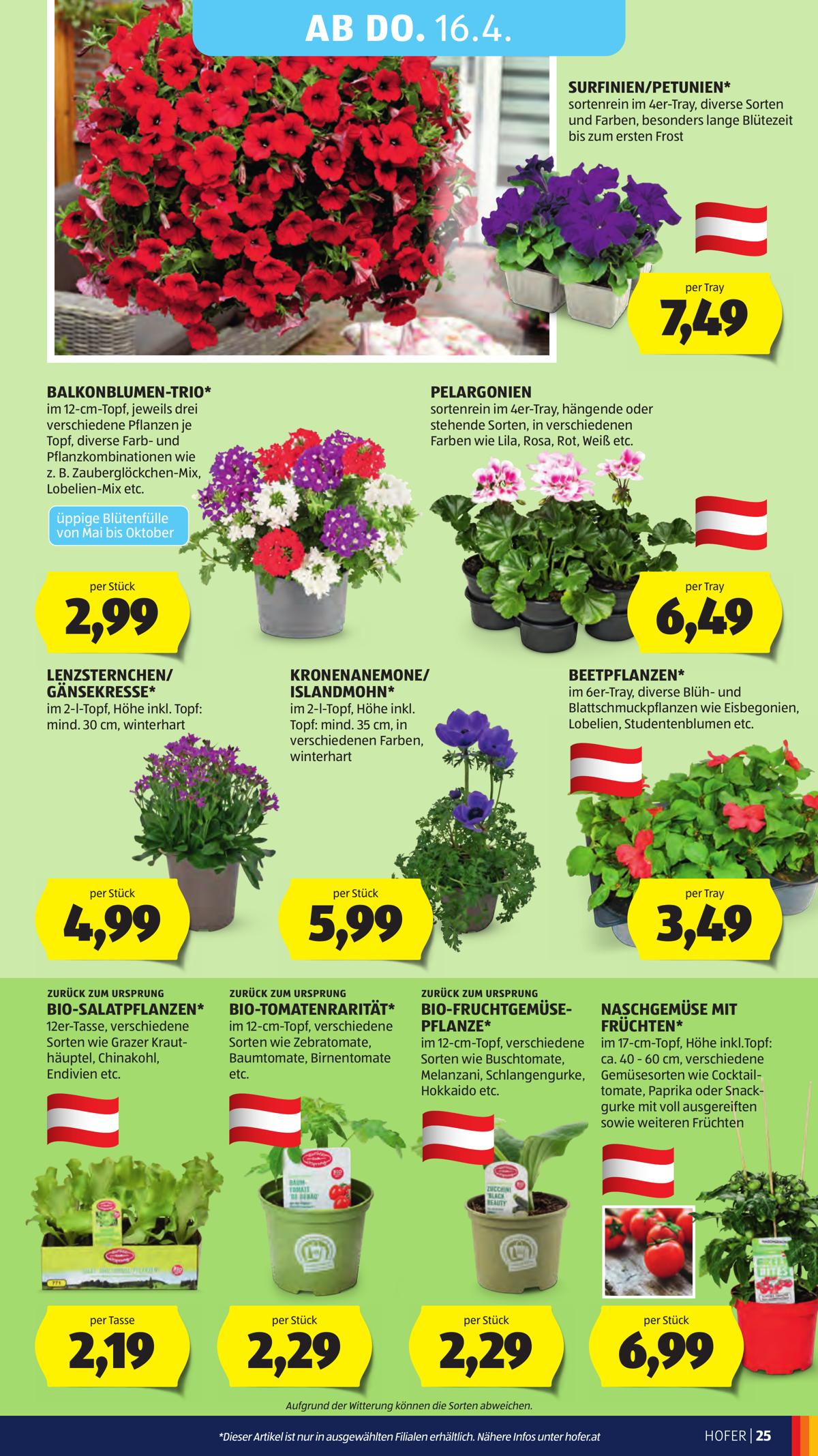 Hofer (AT) leaflet 029