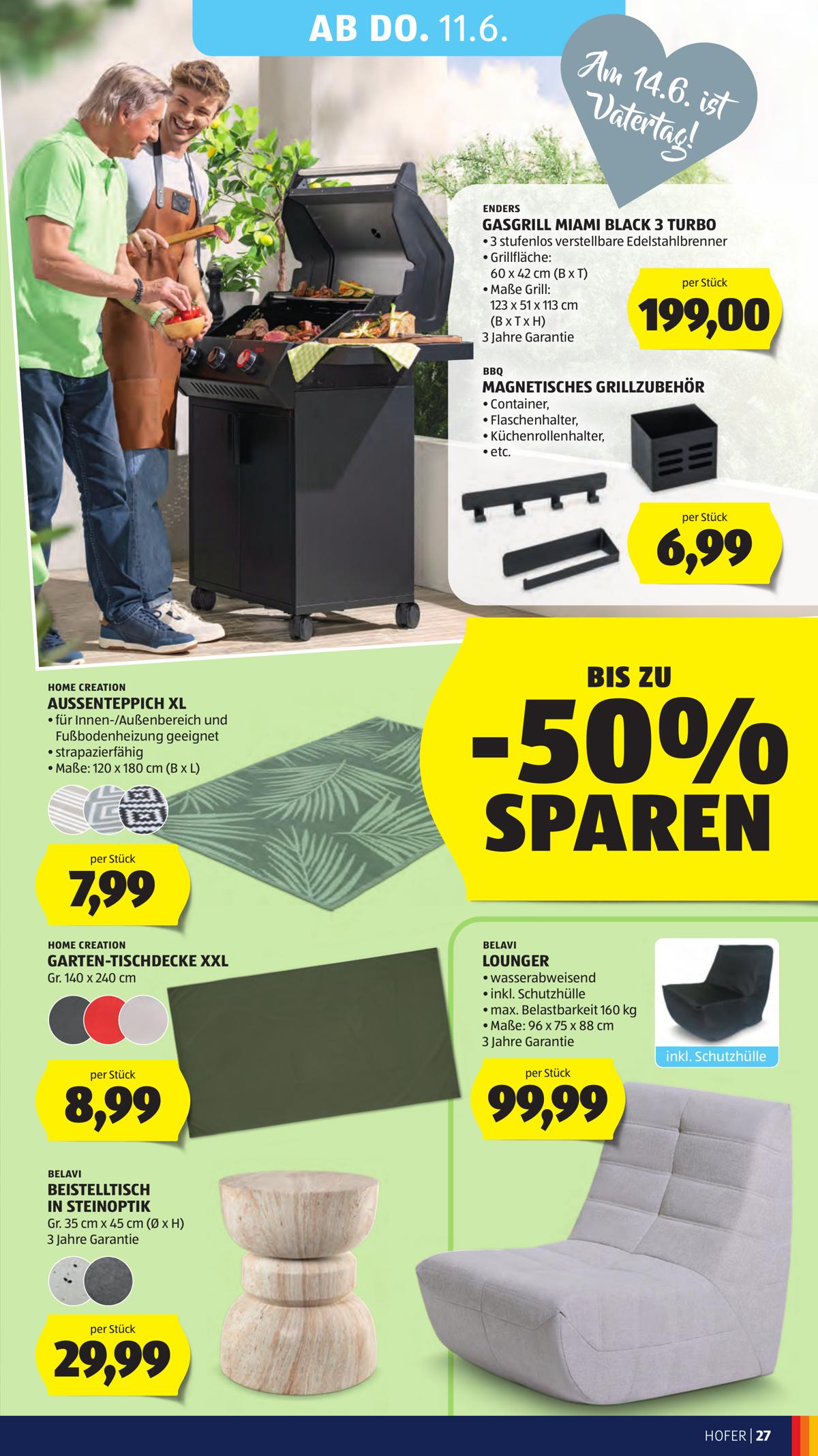 Hofer (AT) leaflet 031