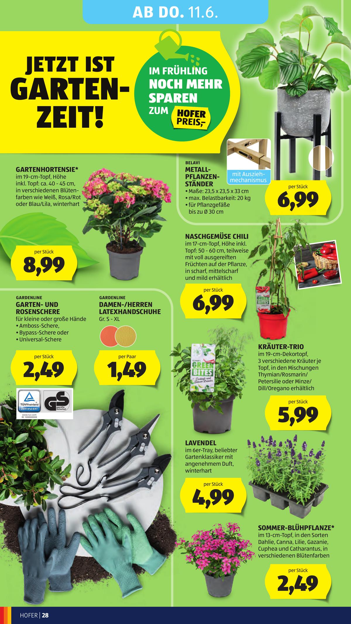 Hofer (AT) leaflet 032