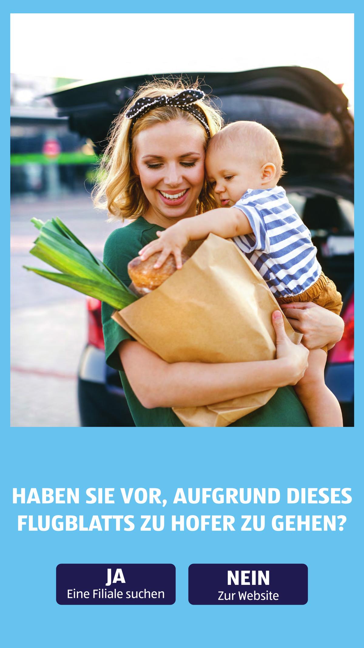 Hofer (AT) leaflet 042