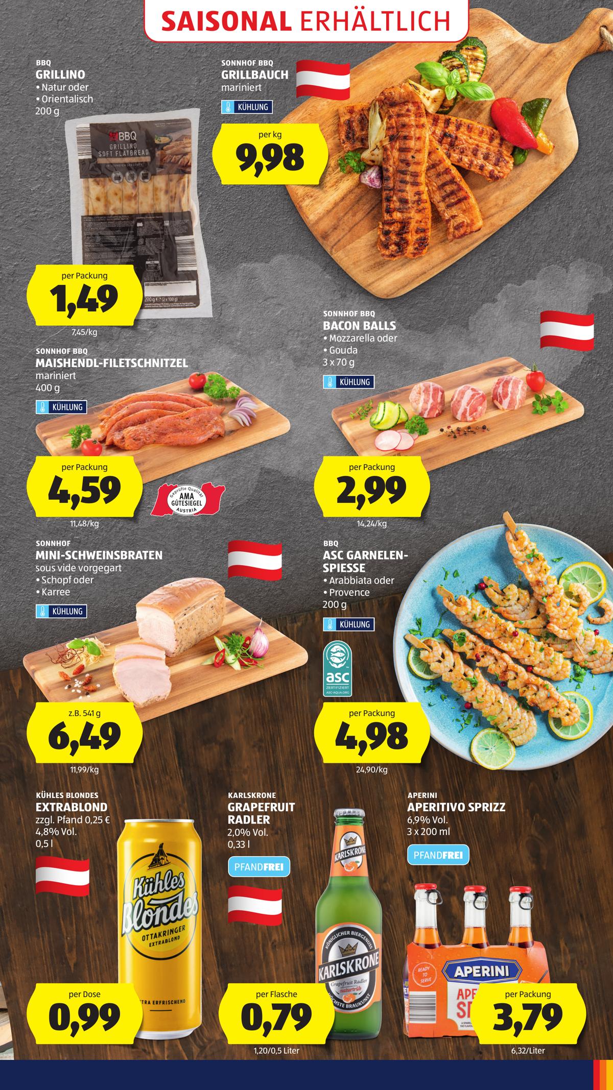 Hofer (AT) leaflet 045