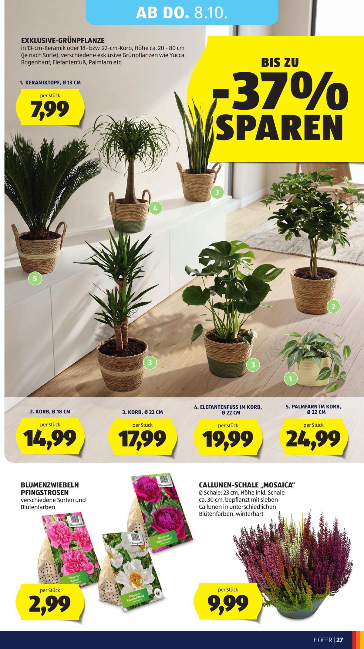 Hofer (AT) leaflet 037