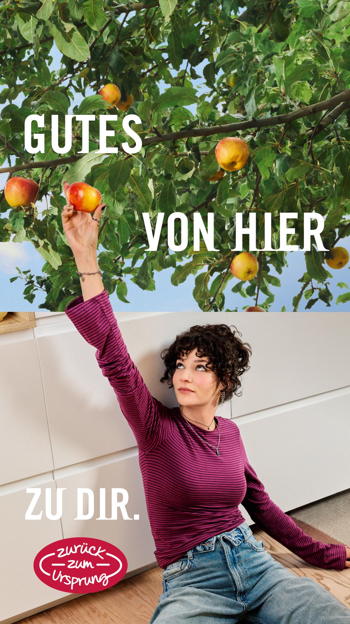 Hofer (AT) leaflet 051