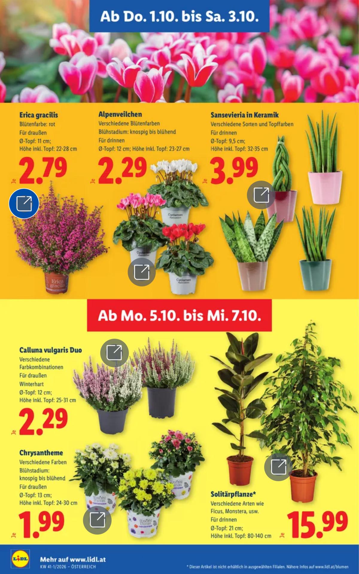 LIDL (AT) leaflet 030