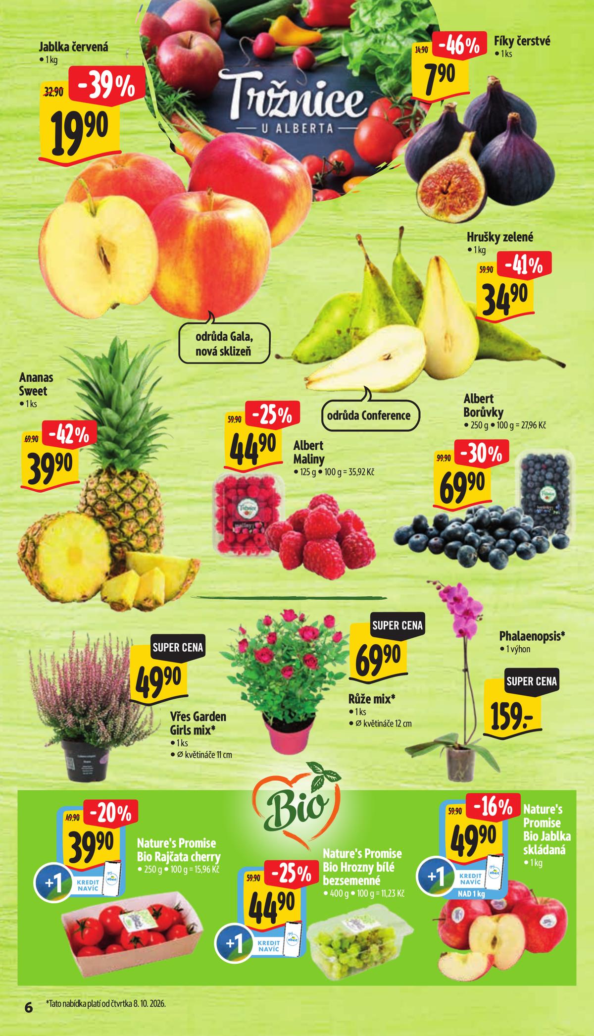 Albert (CZ) leaflet 012