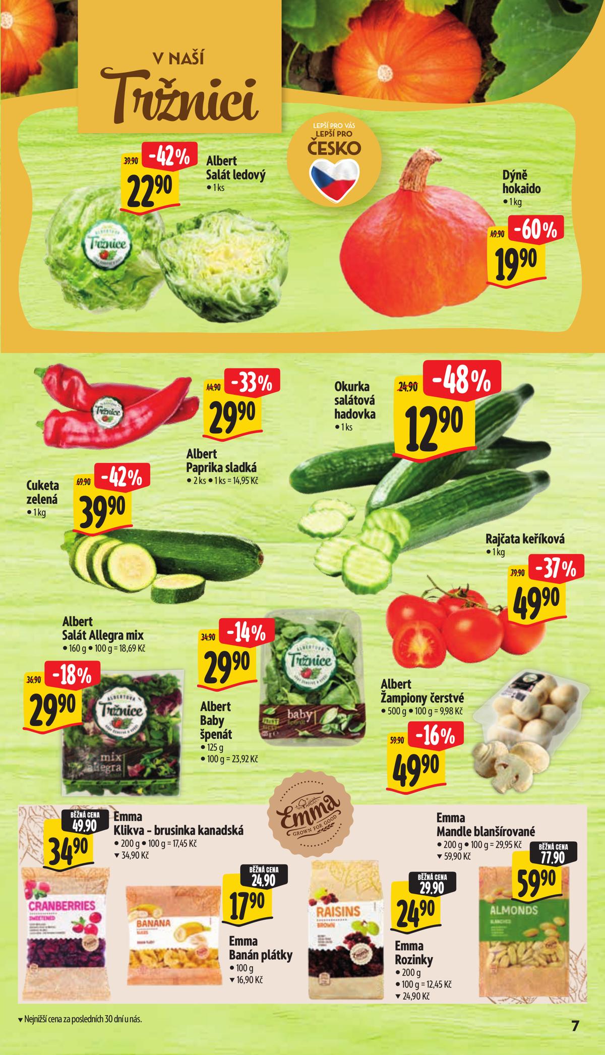 Albert (CZ) leaflet 013