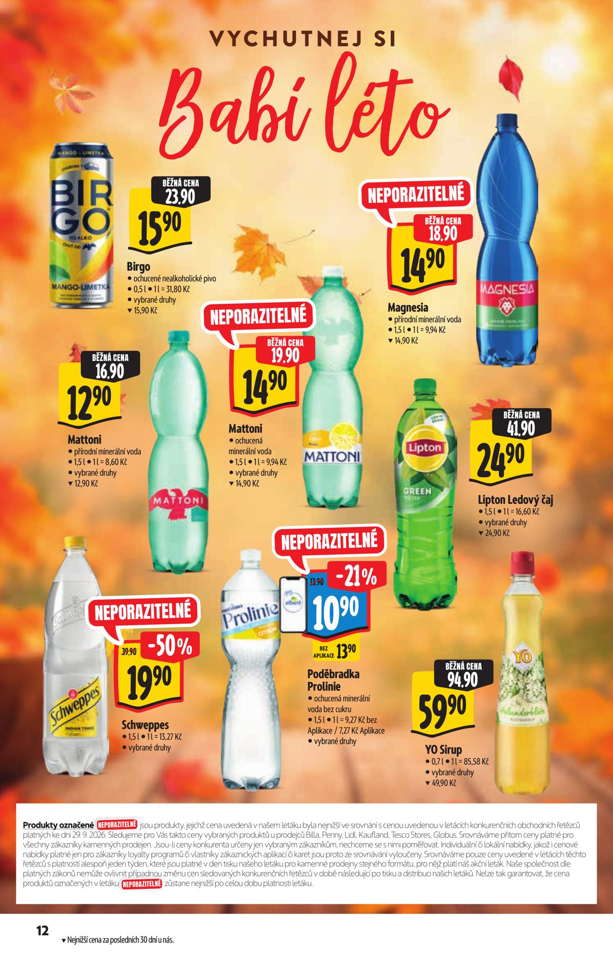 Albert (CZ) leaflet 012