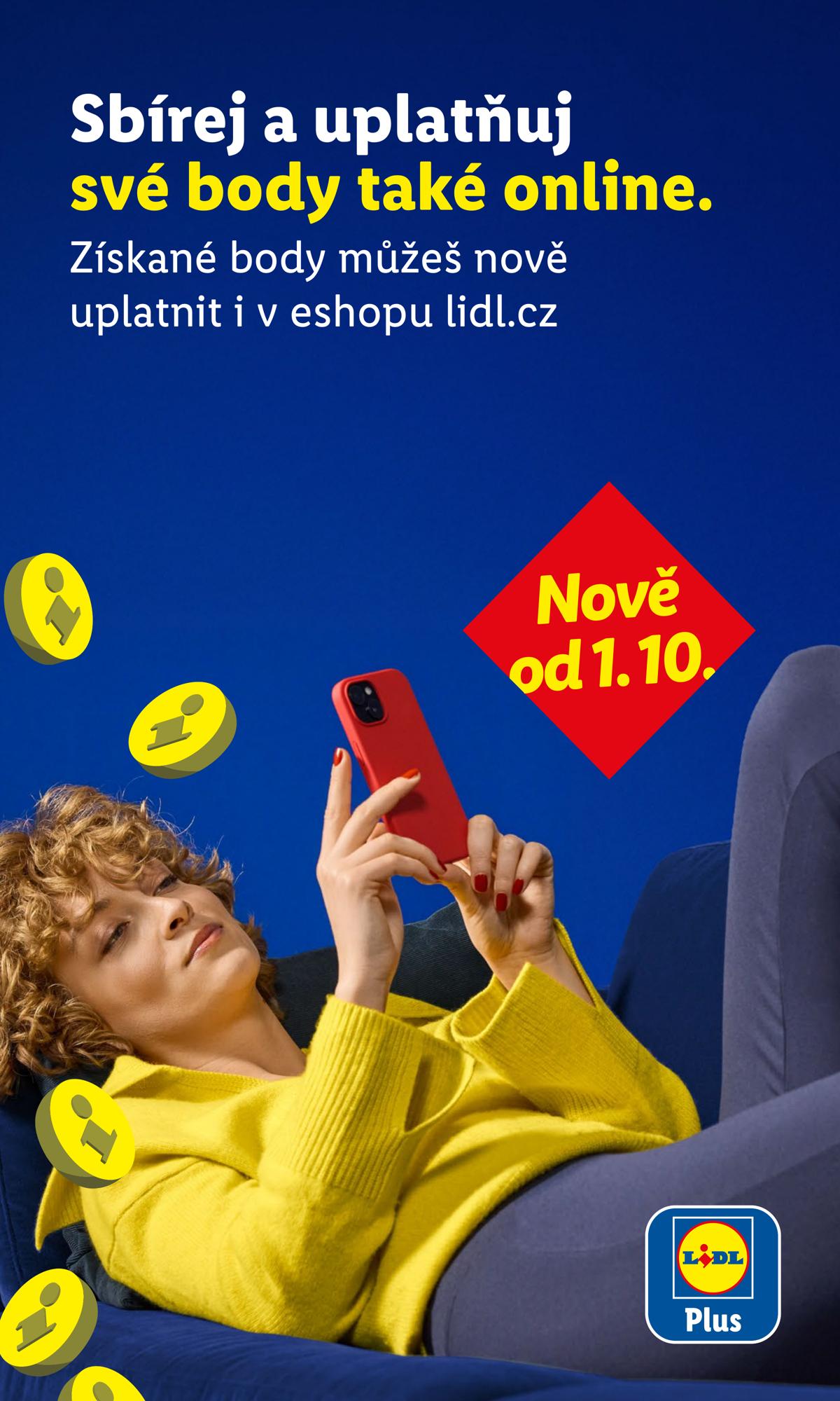 LIDL (CZ) leaflet 010