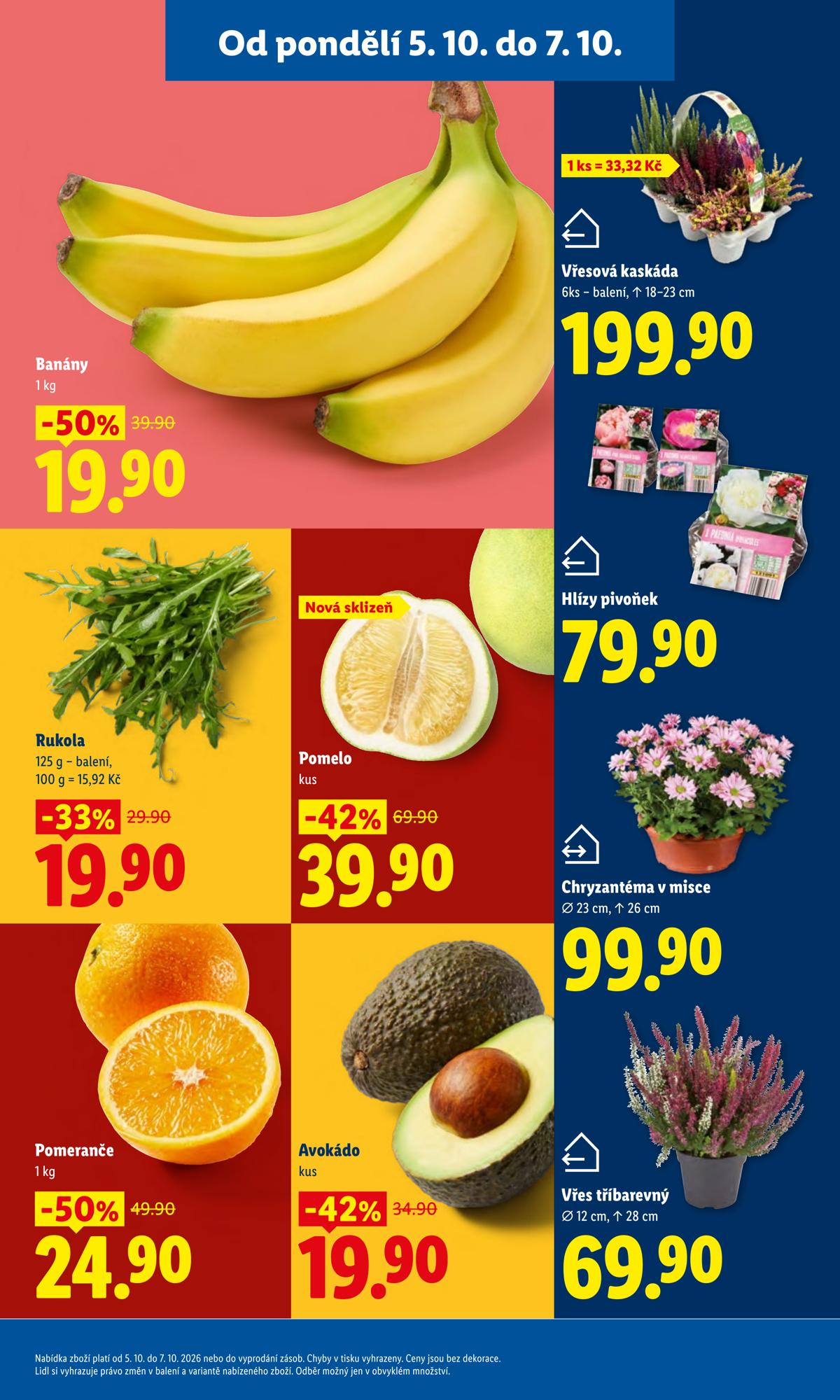 LIDL (CZ) leaflet 015