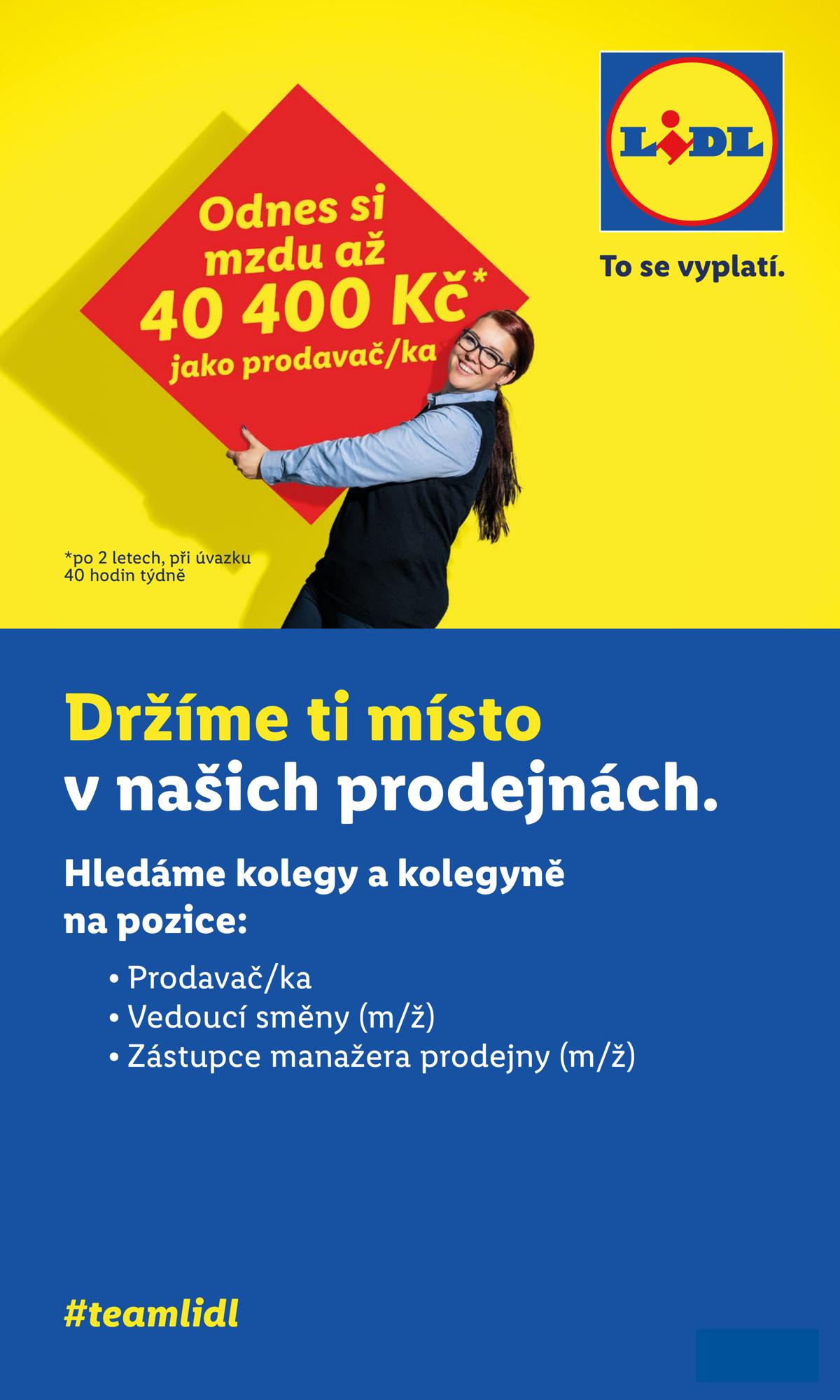 LIDL (CZ) leaflet 049