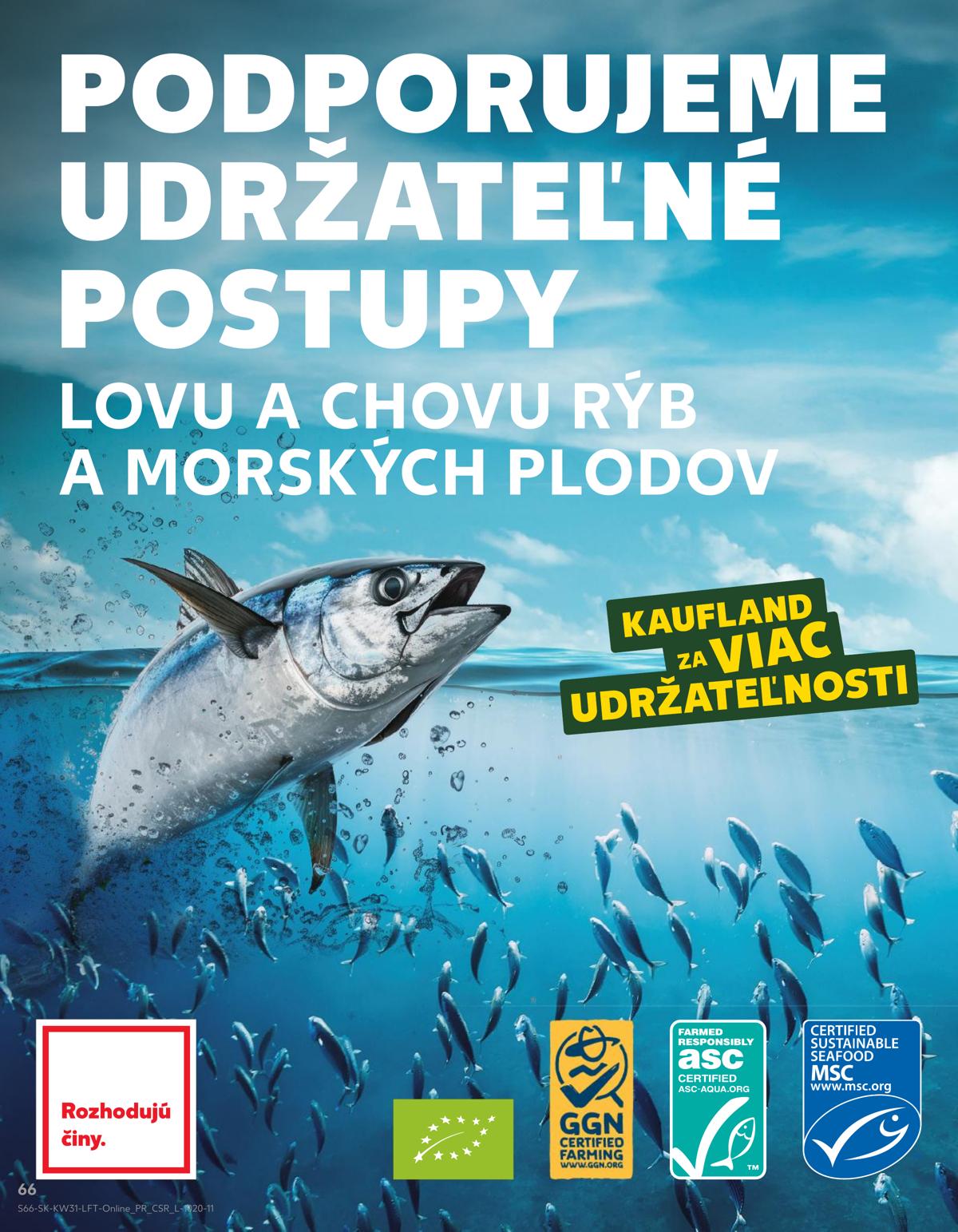 Kaufland leaflet 067