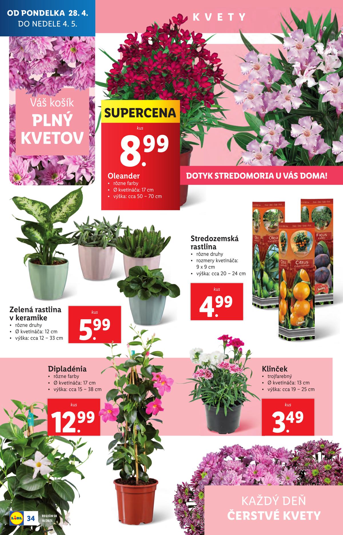 LIDL leaflet 037