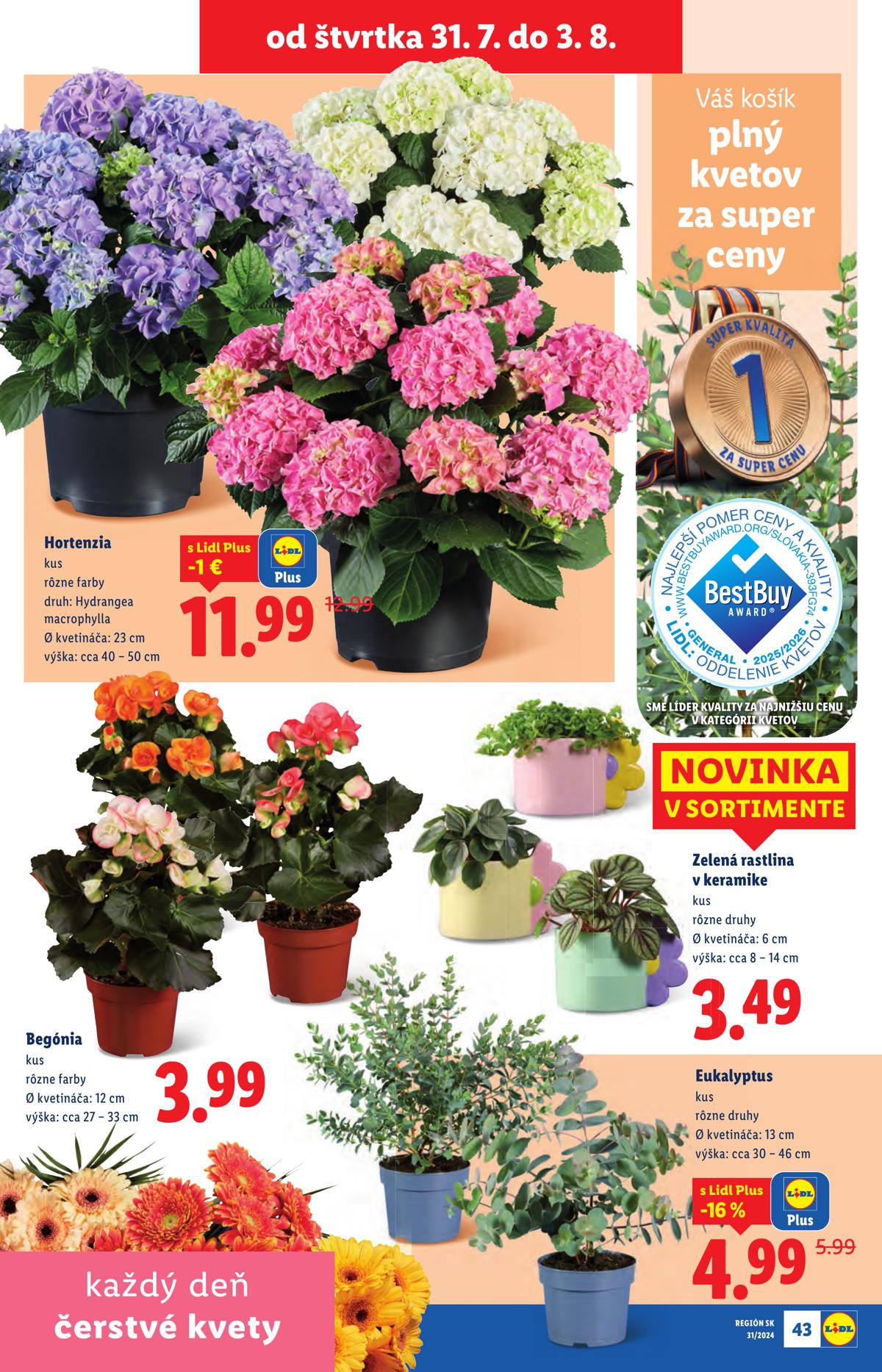 LIDL leaflet 070