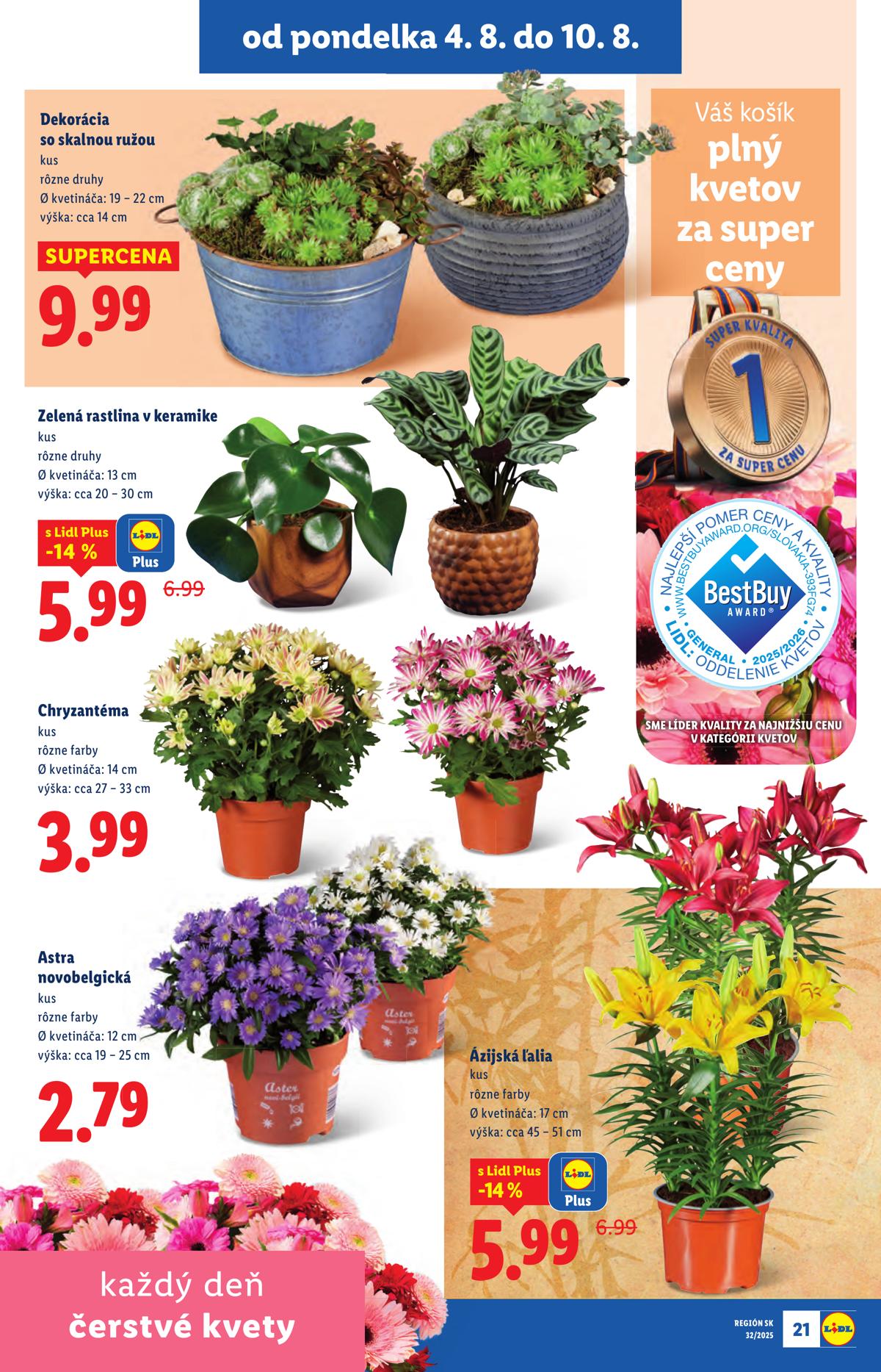 LIDL leaflet 024