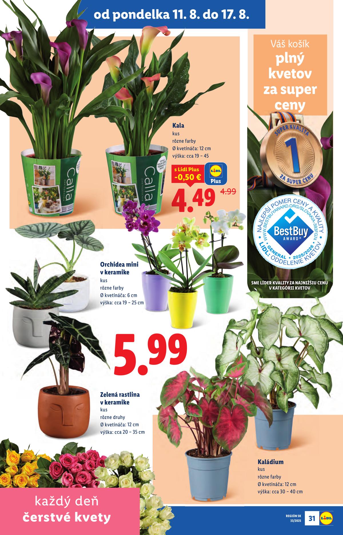 LIDL leaflet 034