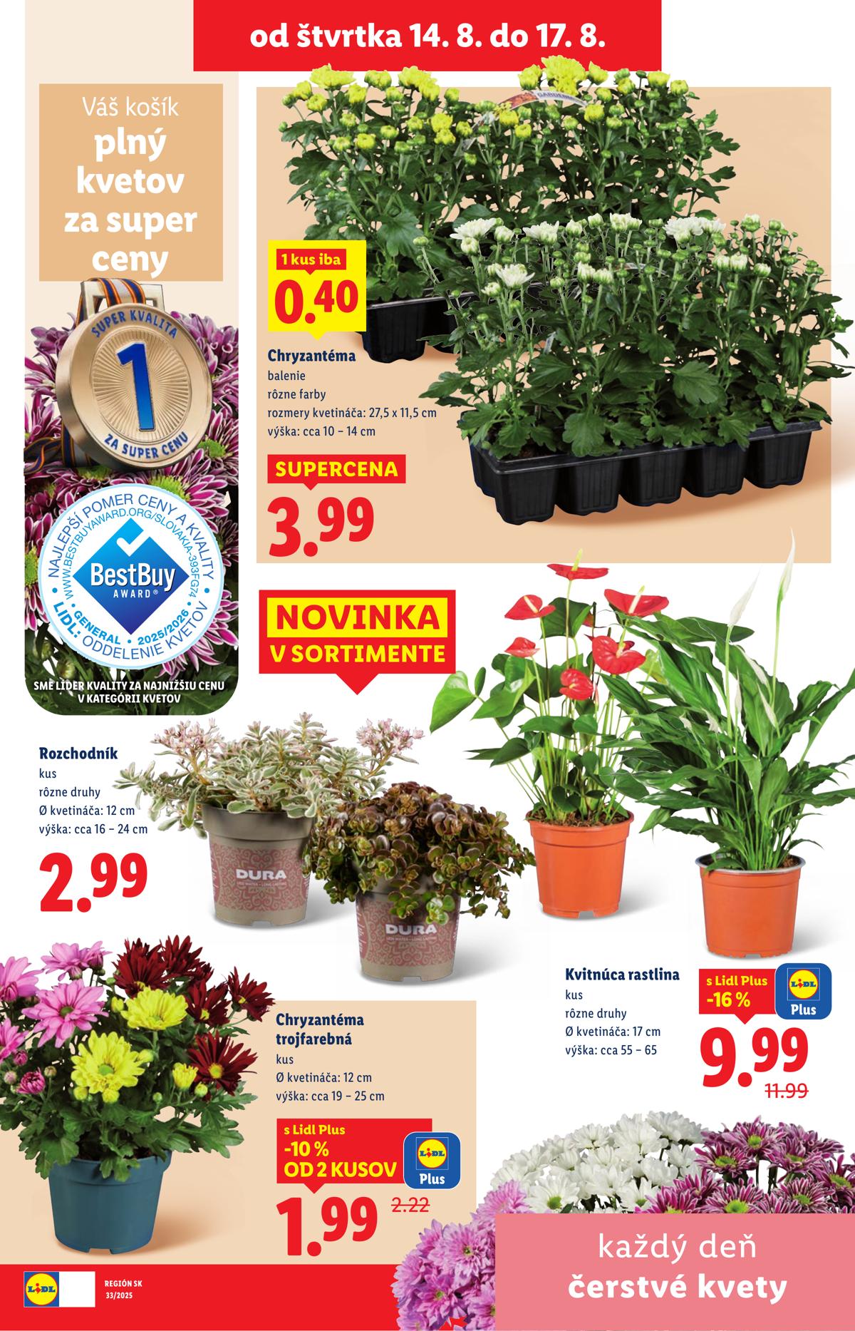 LIDL leaflet 085