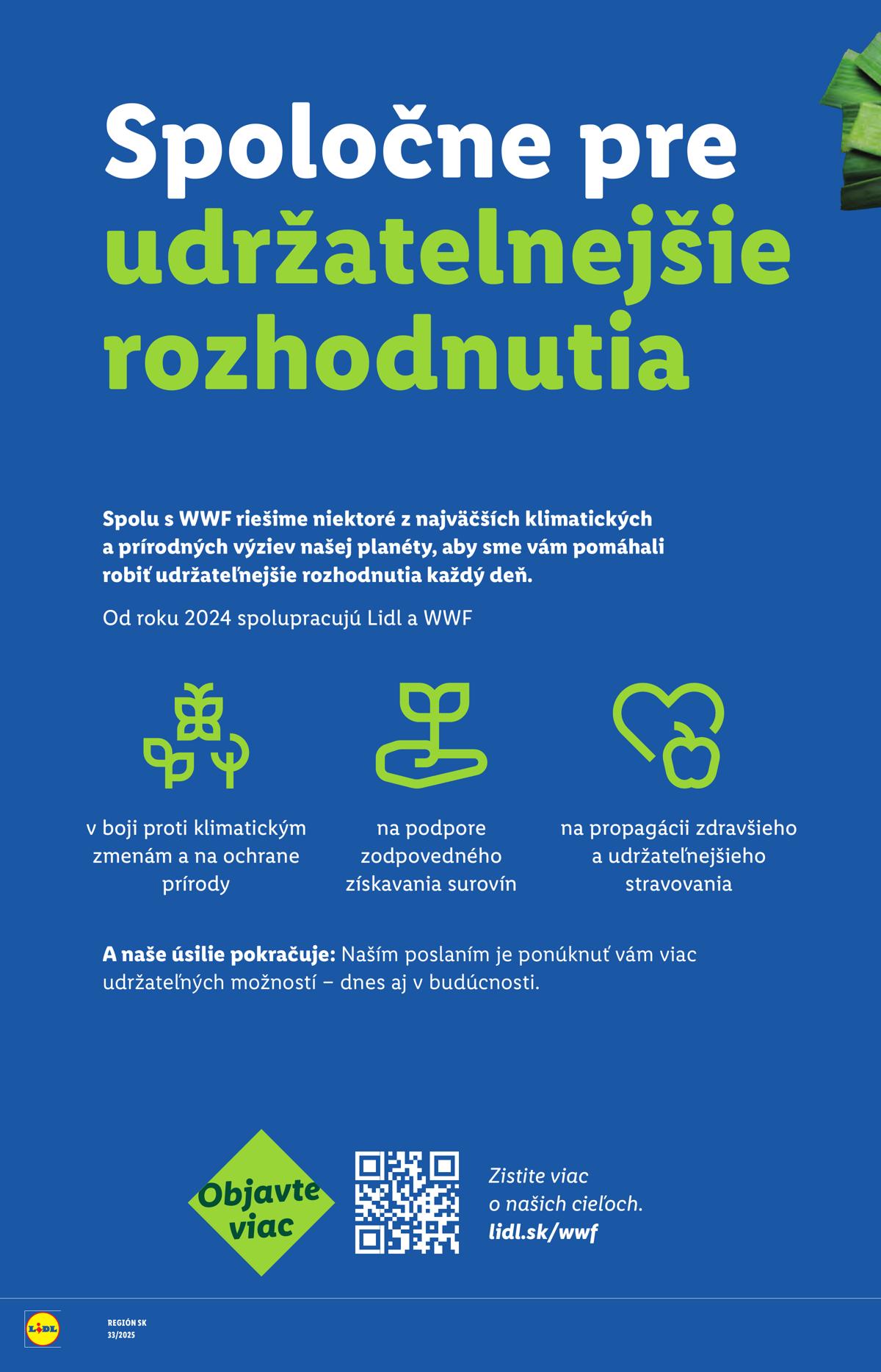 LIDL leaflet 091