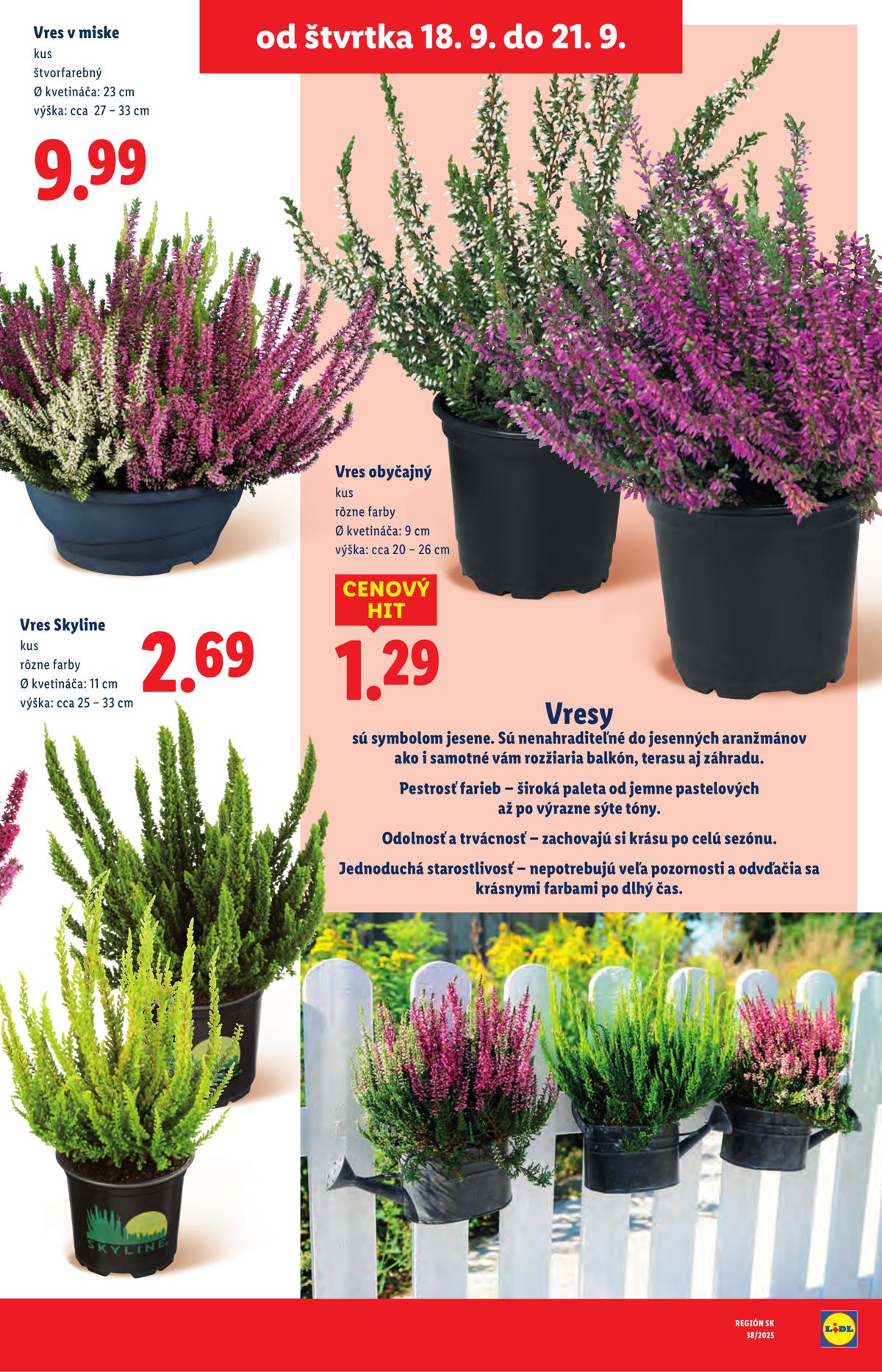LIDL leaflet 090