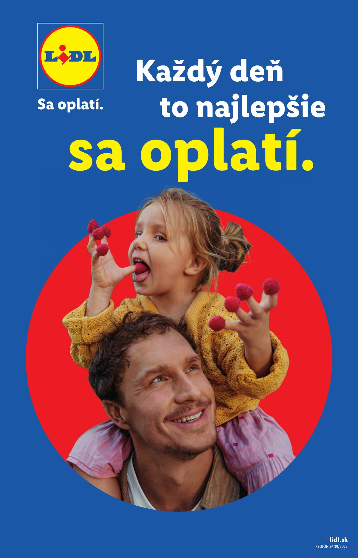 LIDL leaflet 002
