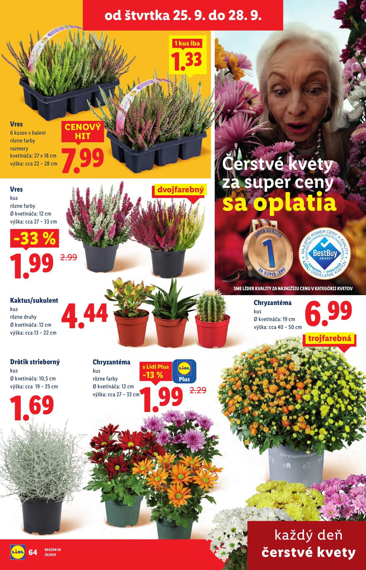 LIDL leaflet 085