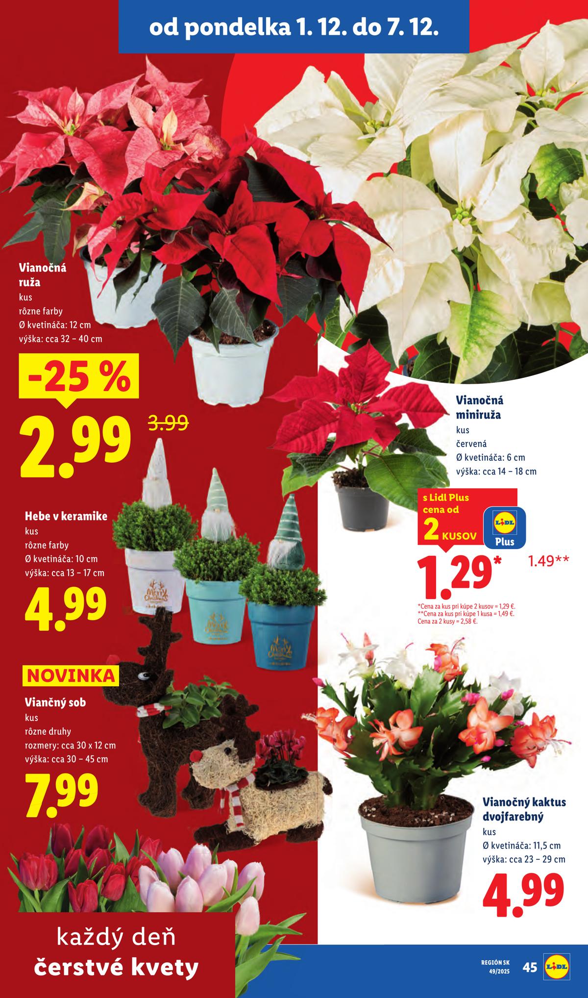 LIDL leaflet 043