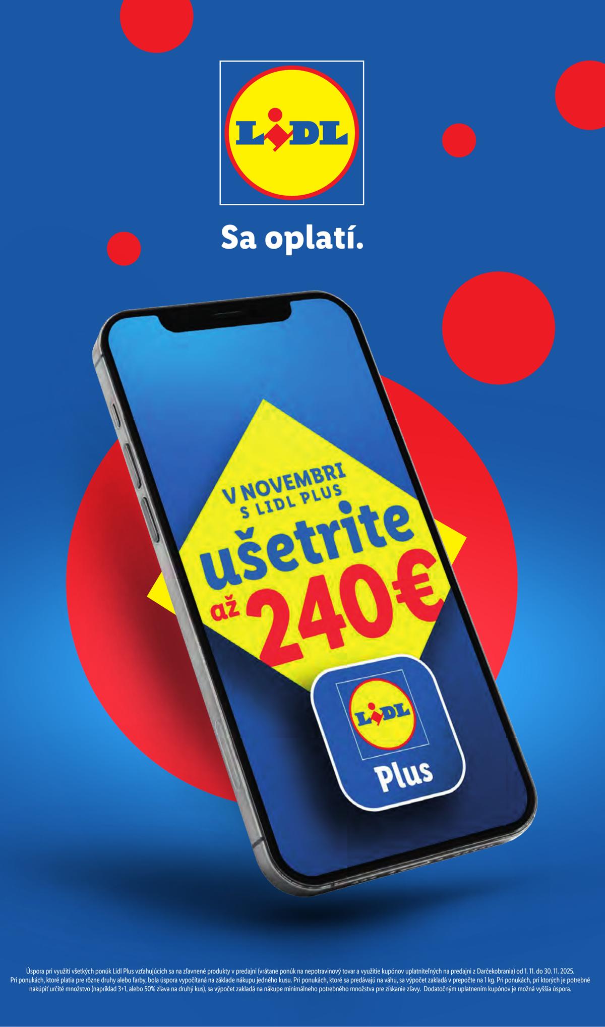 LIDL leaflet 095