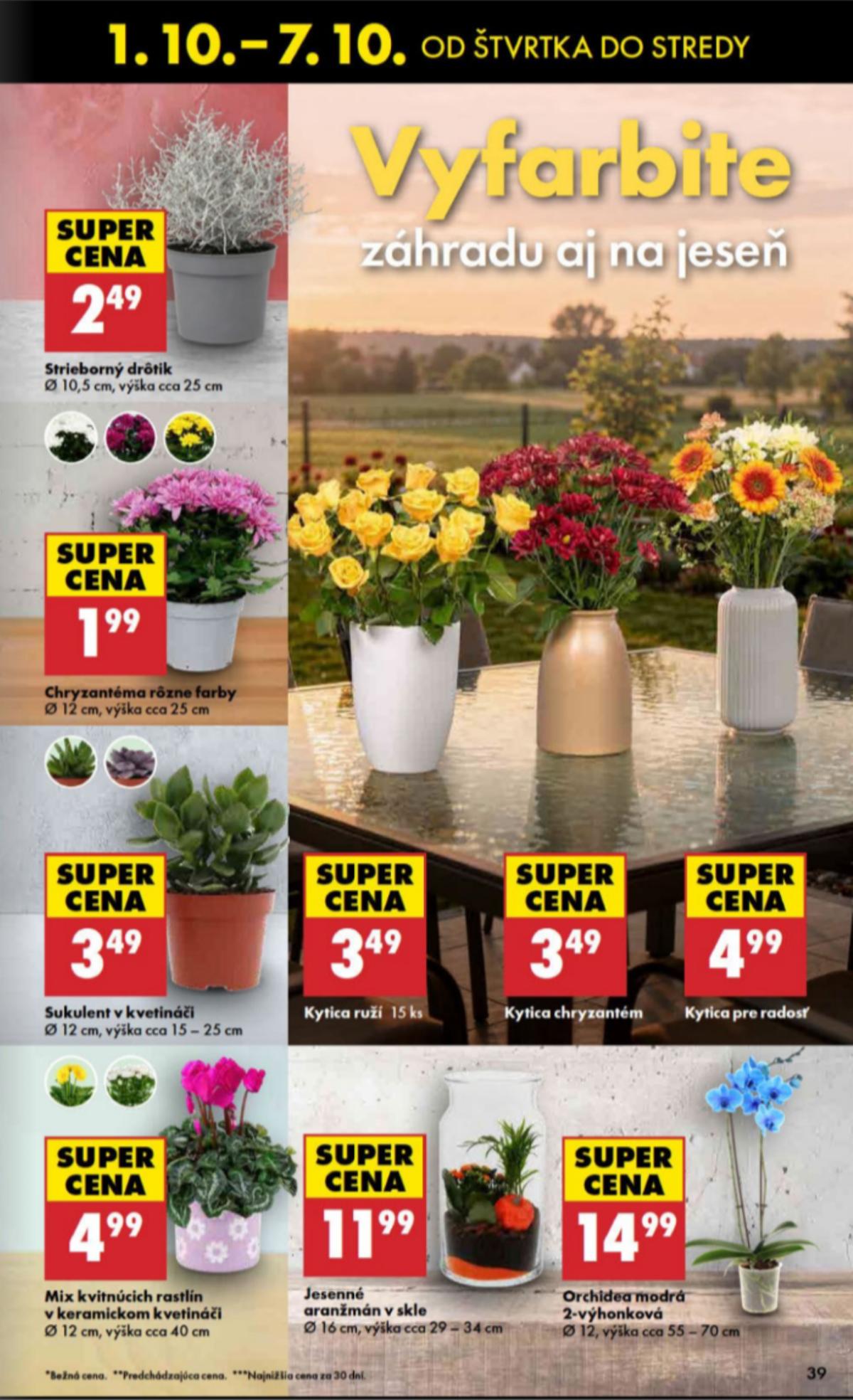 Biedronka leaflet 039