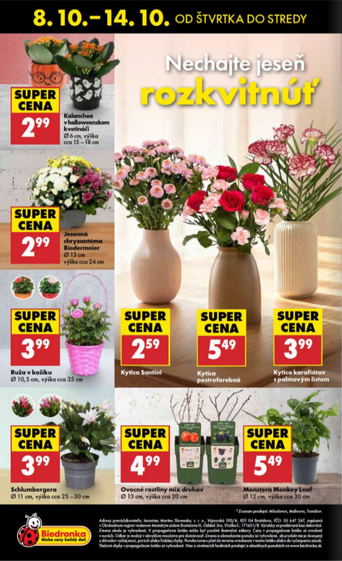 Biedronka leaflet 048