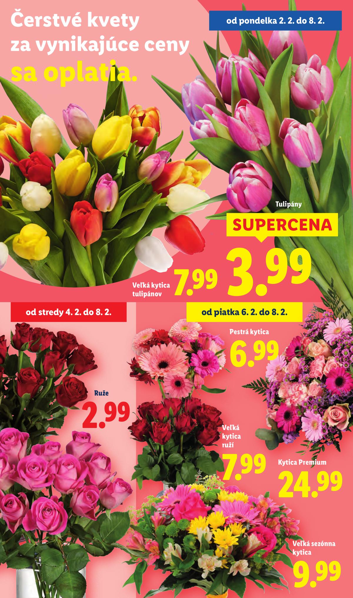 LIDL leaflet 036