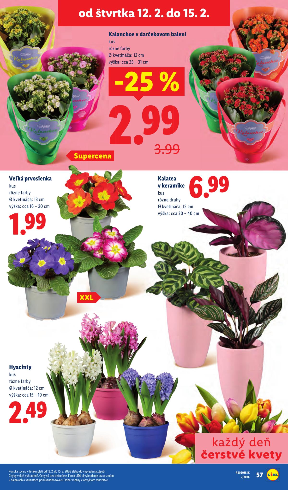 LIDL leaflet 062