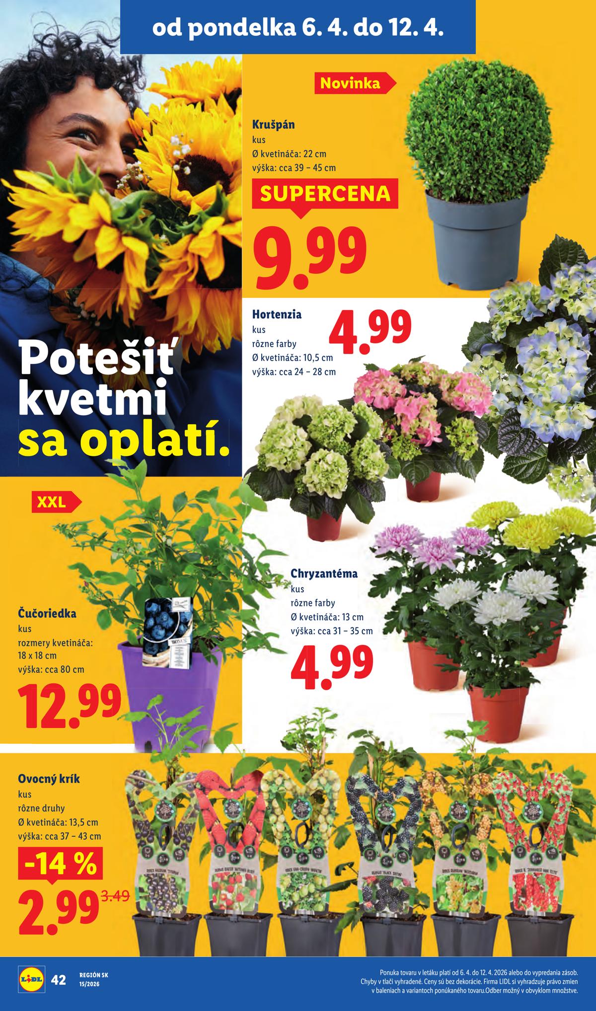 LIDL leaflet 034