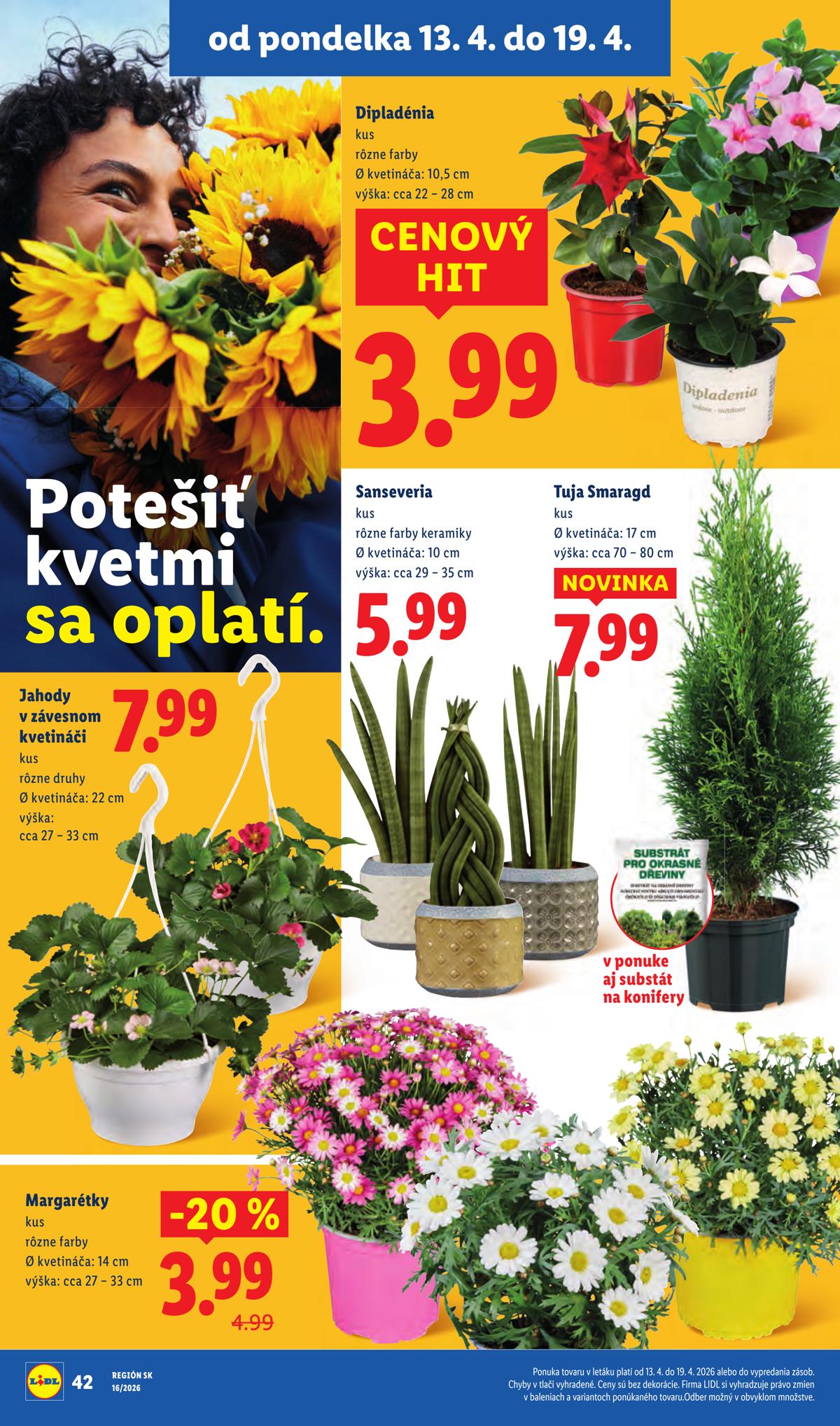 LIDL leaflet 050
