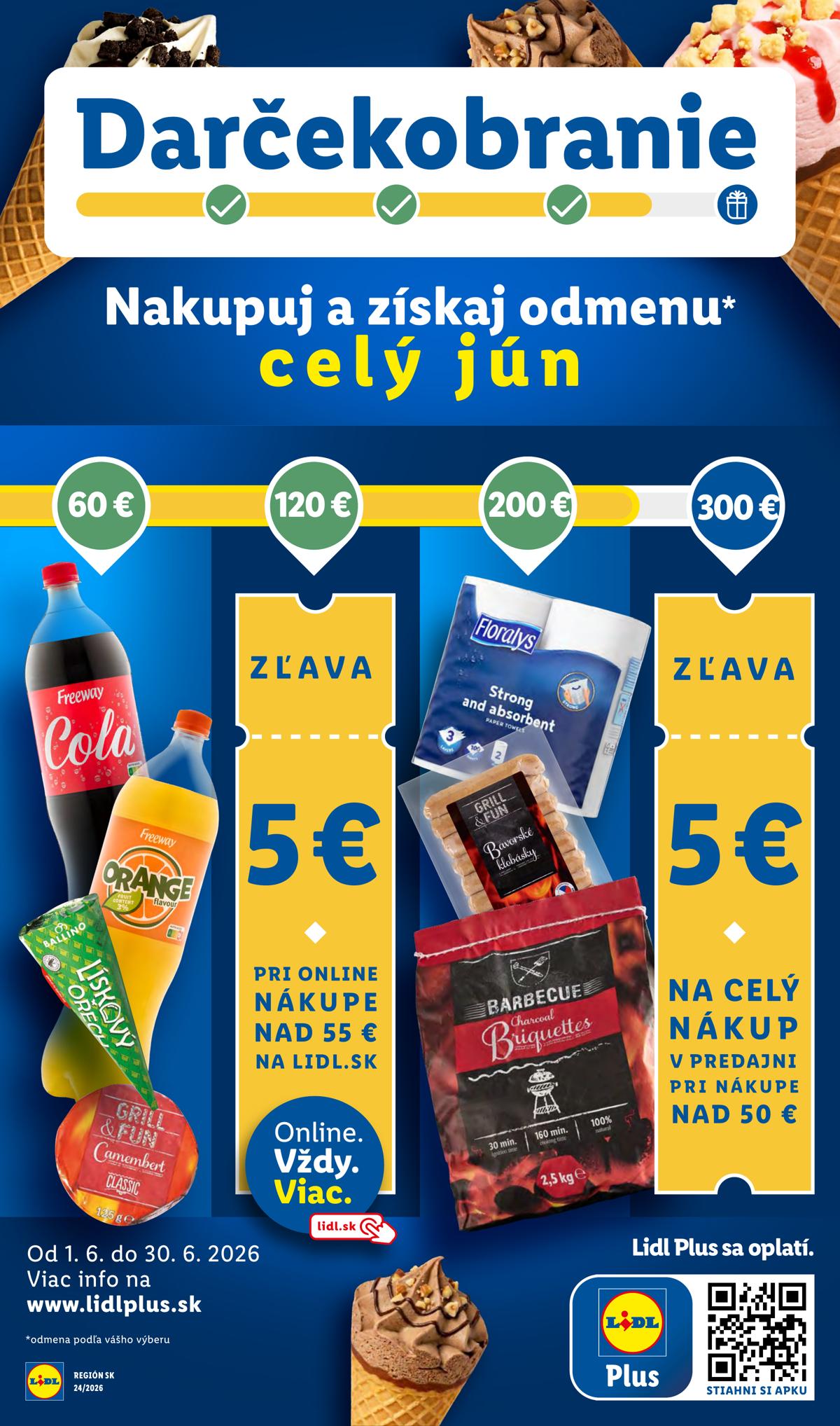 LIDL leaflet 031
