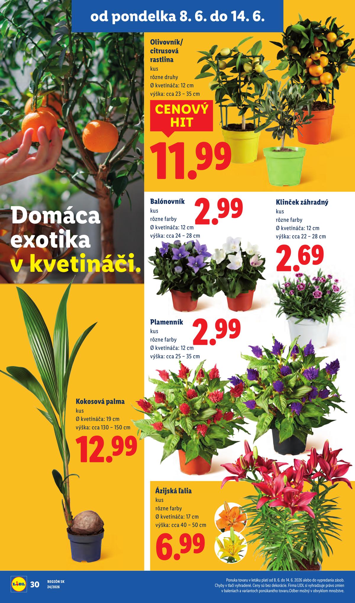 LIDL leaflet 044