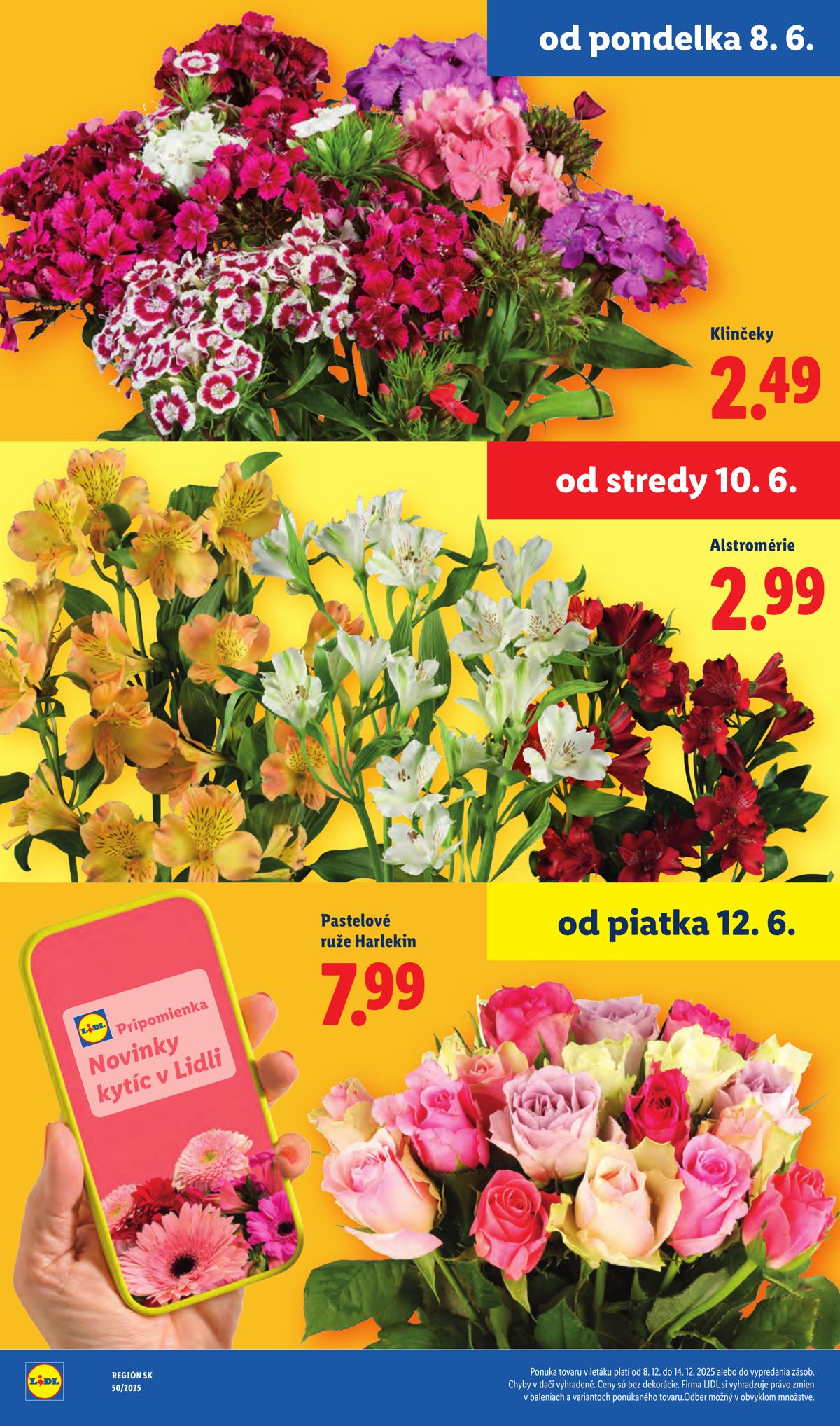 LIDL leaflet 045
