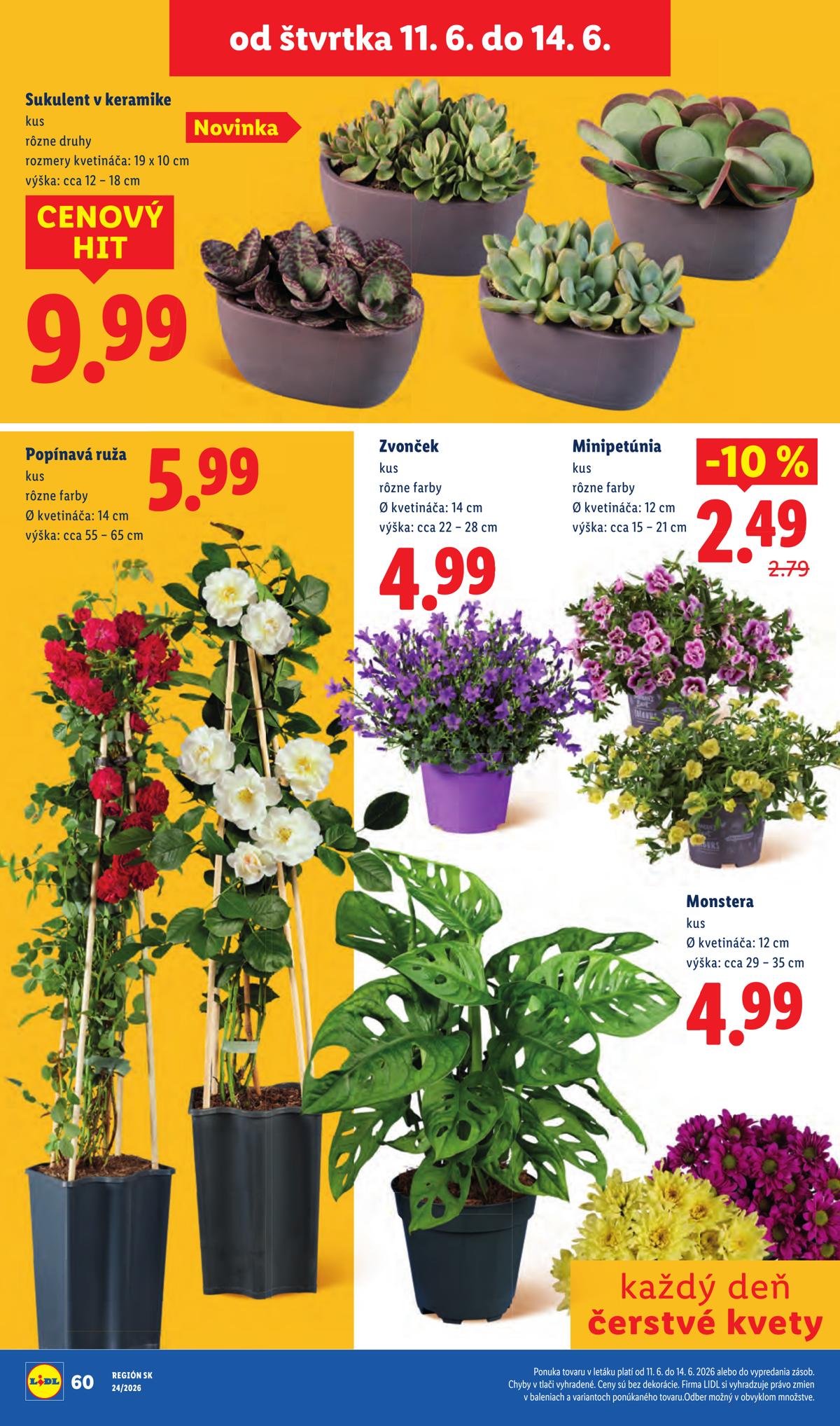 LIDL leaflet 080