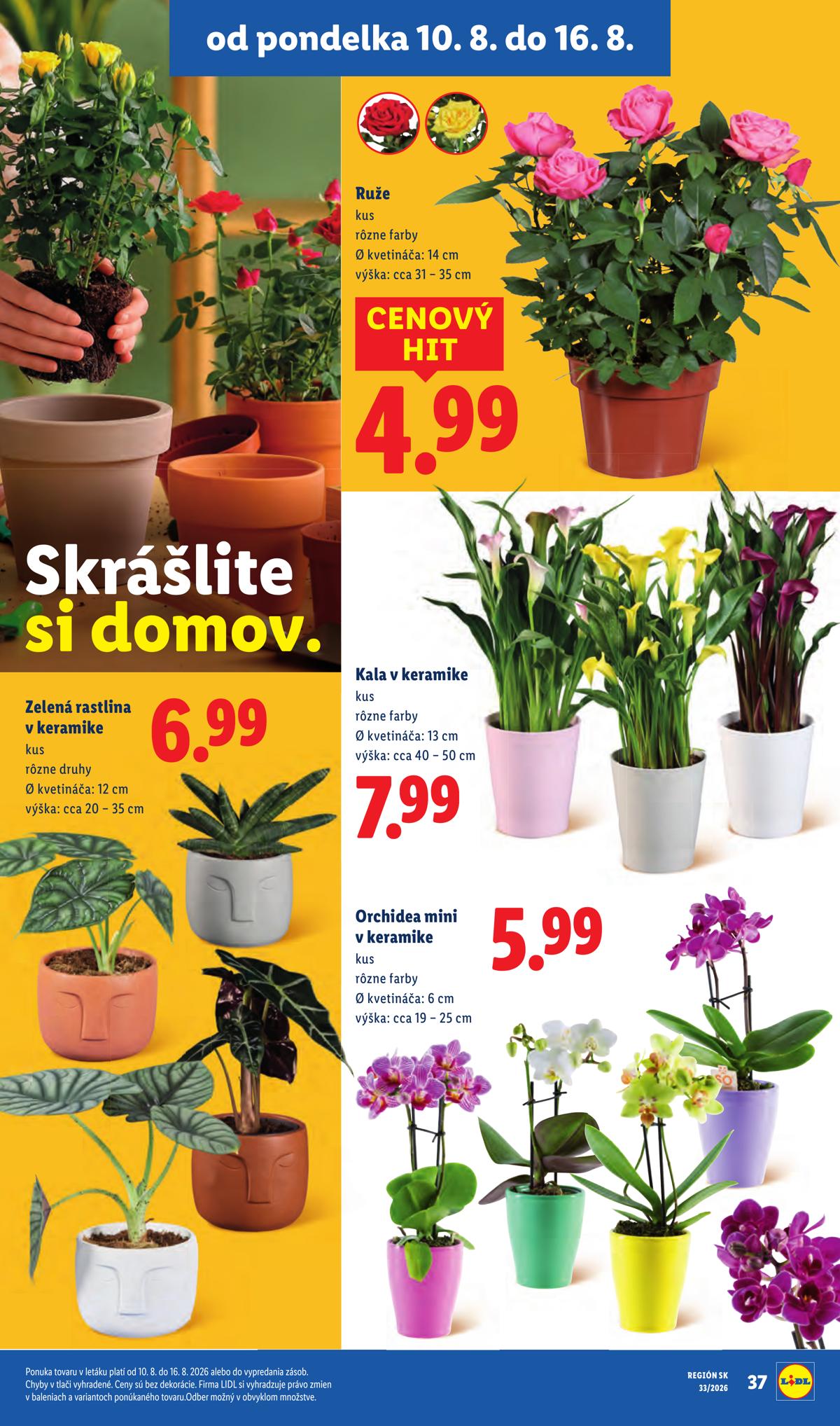 LIDL leaflet 061