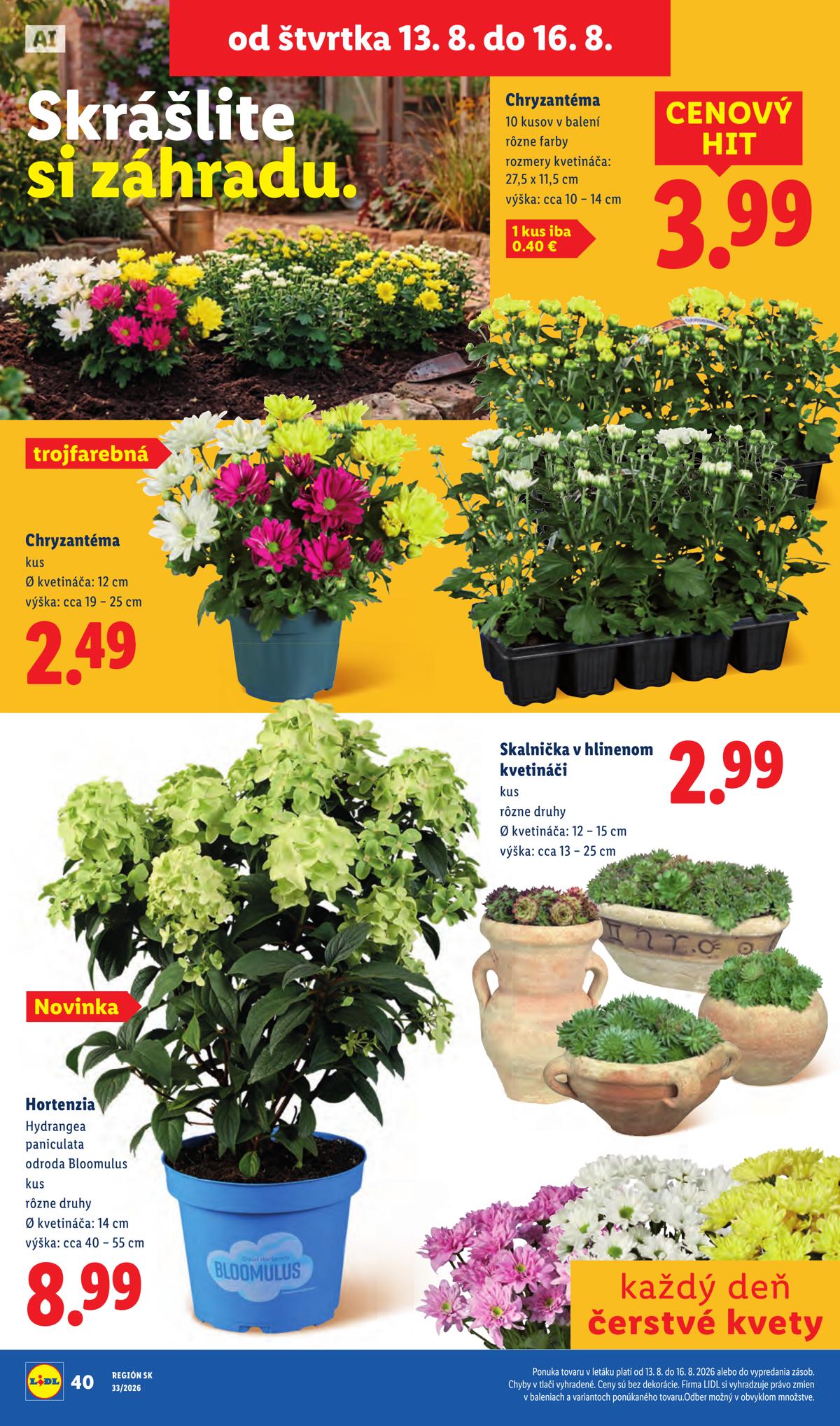 LIDL leaflet 082
