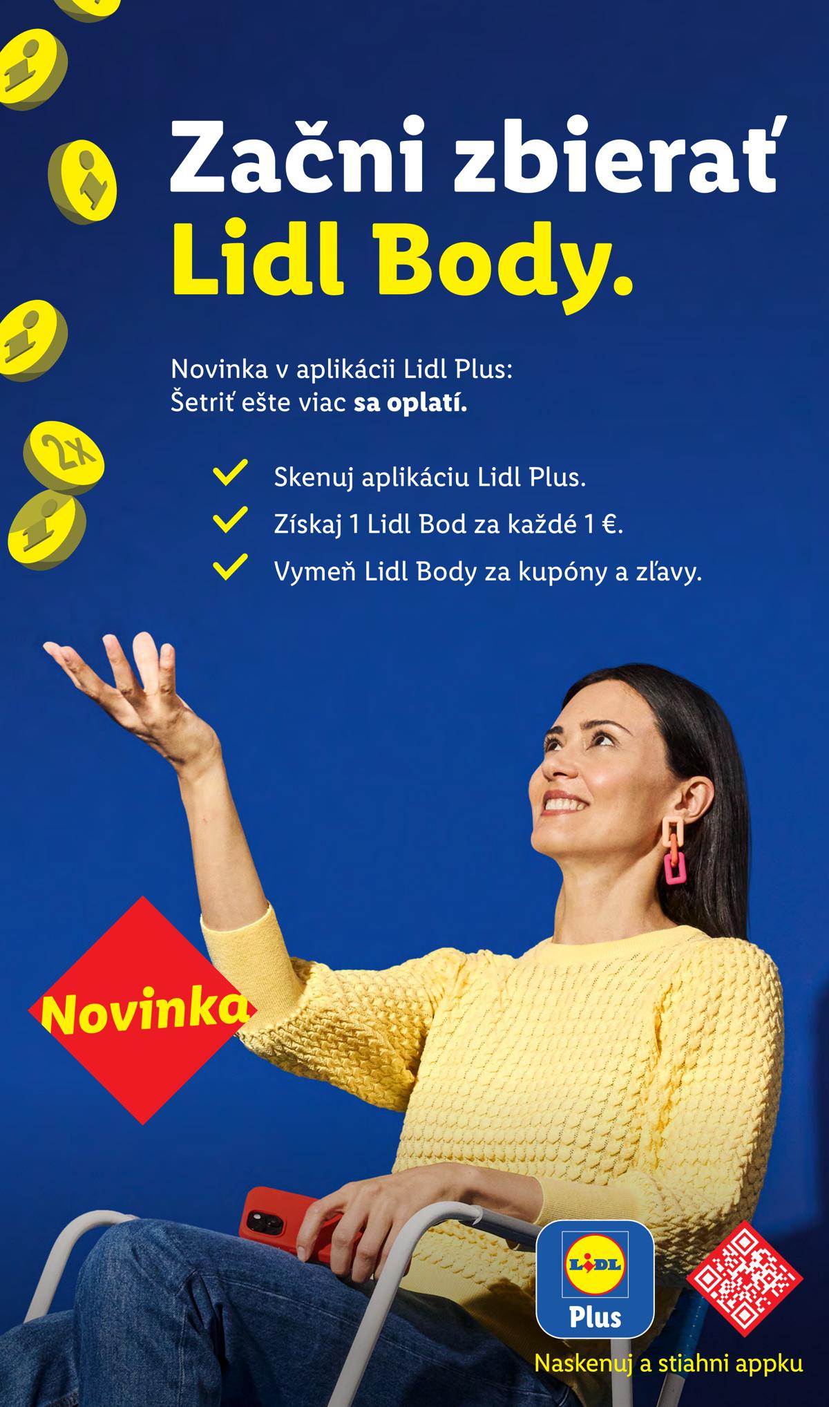 LIDL leaflet 033