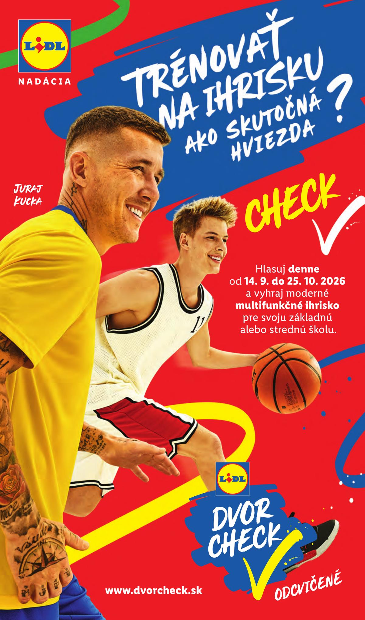 LIDL leaflet 041