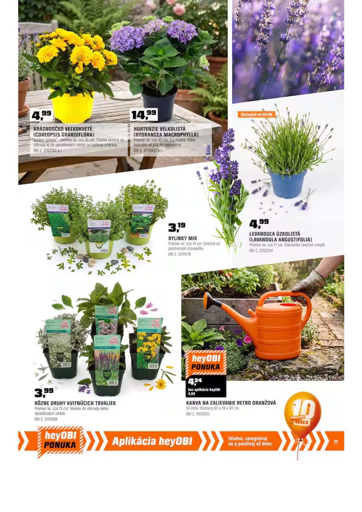 OBI leaflet 010